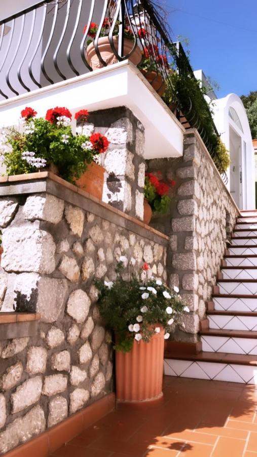 Marvelous Sea View Villa Capri Extérieur photo